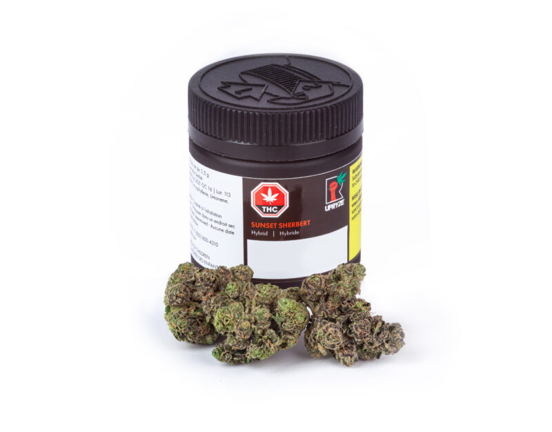 Buy Sunset Sherbet Online